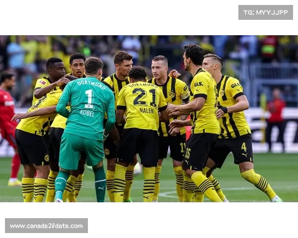 多特蒙德小将拜尔替补亮相精彩凌空抽射展现青春风采